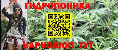 мдпв Рузаевка