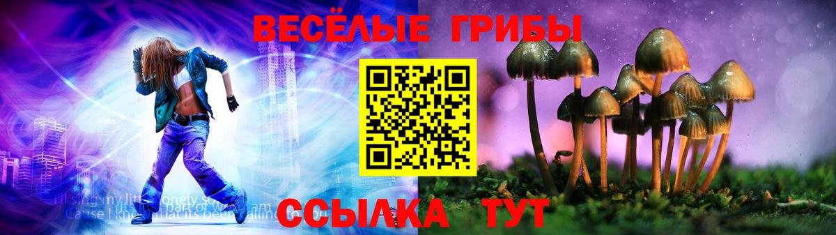 Псилоцибиновые грибы MAGIC MUSHROOMS Светлоград